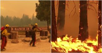 Copertina di La California brucia ancora, centinaia di vigili del fuoco al lavoro per preservare le sequoie giganti: le impressionanti immagini – Video