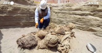 Copertina di Scavano per posare dei tubi del gas e trovano resti umani risalenti a 800 anni fa: la spettacolare scoperta di alcuni operai peruviani