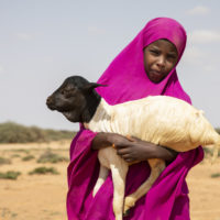 Deko*s family lived a nomadic pastoralist life before they were displaced and came to the village because of drought. They had a lot of animals (Her mother Anab doesn’t know exactly how many but they used to have goats, sheep and camels) and in a drought in 2018 she lost all but 20 goats and sheep.  

Deko takes care of the goats and runs a lot to herd them. Sometimes she eats the fruits that grow in the pastures. She is described by her sister Amina* as a playful child who likes building miniature Somali traditional houses. Her best friend is Rahma* her older sister.

She likes eating injera (Somali pancake). In a day she’ll eat injera for breakfast, rice for lunch and spaghetti for dinner. She also likes somali tea, dates and juice. She likes to play football. In the future she wants to be a big girl.

When they first came to the village they couldn’t get food. They are in debt and can’t get credit – they used to get loans from the market to buy food and re-payed them in high season when they took the animals to market. 

Save the Children provided Deko’s mother Anab with a sack of rice, beans, wheat flour, cooking oil and milk at the beginning of July. Before, they were only able to have two meals per day. Now, since Save the Children has helped them, they have three meals a day. She says this is important as if you get weak here, other things can happen to you.

Anab says that daily life in the village is different to that in the countryside. Getting water is very expensive and to transport it you have to rent a car. Before she would use the camels to transport the water. Also there are no health facilities here, so if a child gets sick they have to go to the nearest town of Gardo. Also there are no toilets. 

She hopes for a better future and to build a school and health facilities here. Her children don’t currently go to school but they go to the madrasa since they lived here.

Anab gets sad when she sees her children sick and she doesn’t have th