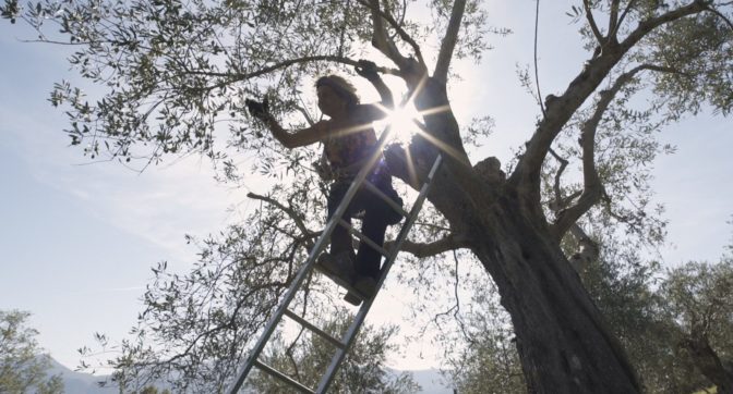 Copertina di Andare a zappare la terra: altro che insulto, è un consiglio per vivere felici (e salvare il Pianeta)