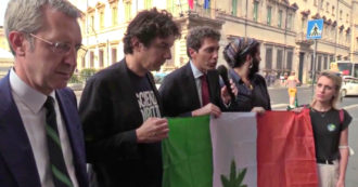 Copertina di Referendum cannabis, Della Vedova (+Europa): “Grazie Draghi, ora il Pd prenda posizione”