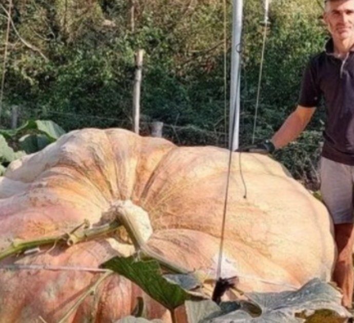 La zucca gigante più grande del mondo è italiana: pesa 1226 chili, l’ortaggio da record coltivato a Radda in Chianti