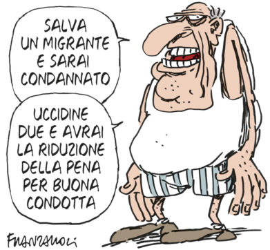 Copertina di La vignetta di Franzaroli