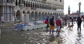 Copertina di Venezia, il Mose non entra in funzione e la città è sott’acqua: piazza San Marco allagata – Video