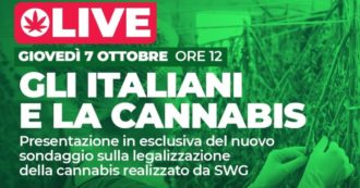 Copertina di Referendum cannabis, i risultati del sondaggio sulla legalizzazione e l’informazione degli italiani sul tema: segui la diretta tv