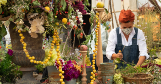 Copertina di Non è tutto verde ciò che luccica: poche piante in circolazione e vivai pubblici impreparati