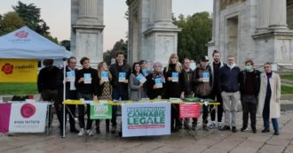 Copertina di Referendum Cannabis legale, eventi in 150 piazze. Oltre 620mila firme in Cassazione il 28 ottobre
