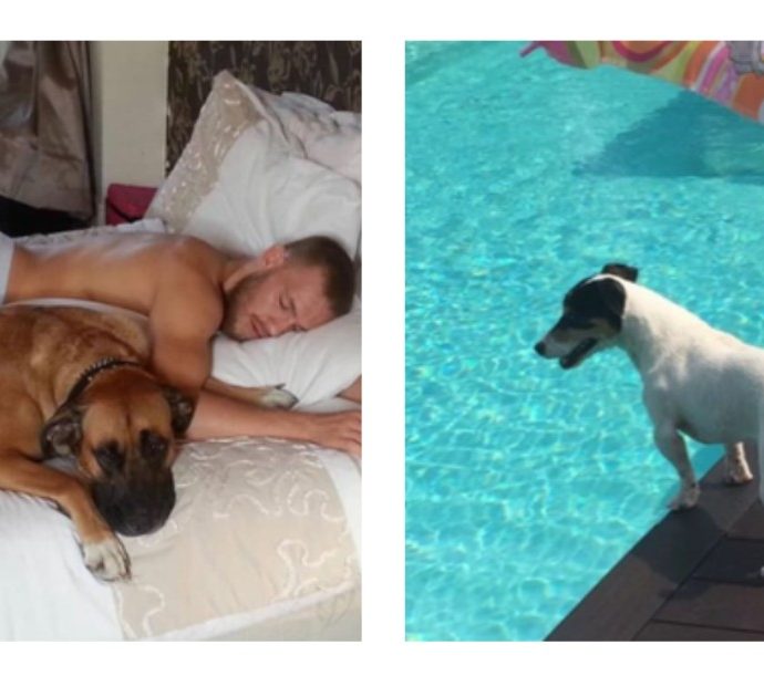 Conor McGregor e Francesco Facchinetti accumunati dalla morte dei loro cani, a poche ore di distanza