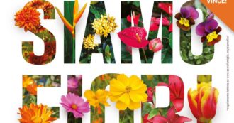 Copertina di Siamo fiori, alla Pinacoteca di Brera la mostra per raccogliere fondi: “Sosteniamo laboratori di terapia occupazionale per ragazzi fragili”