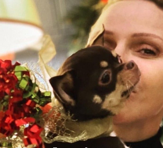 Charlene di Monaco: “Il mio piccolo angelo è morto, è stata investita”. L’addio alla sua amata cagnolina