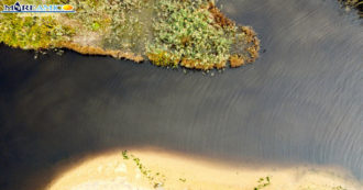 Copertina di Sicilia, tornano i “fiumi neri”: così le acque dei frantoi vengono illegalmente smaltite. “200 volte più inquinanti delle fognature”