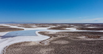 Copertina di Emergenza climatica, sta sparendo il Lago Tuz: è il secondo più grande della Turchia. Il fotografo: “Migliaia di carcasse di fenicotteri”