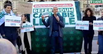 Copertina di Referendum cannabis legale, la consegna delle firme in Cassazione: segui la diretta tv
