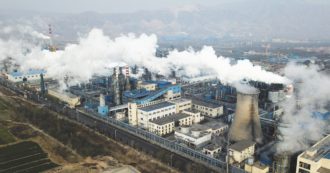 Copertina di Ambiente, Intesa e Unicredit danno miliardi ai deforestatori