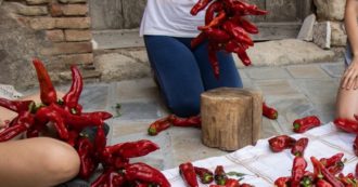 Copertina di In Basilicata il turismo si fa lento e sostenibile [Guarda la gallery-foto su Fatto da Voi]
