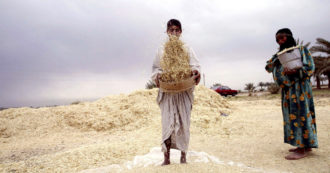 Copertina di Fao, prezzi degli alimenti base sui massimi da 10 anni e in crescita anche ad ottobre. Primi effetti sugli scaffali dei supermercati