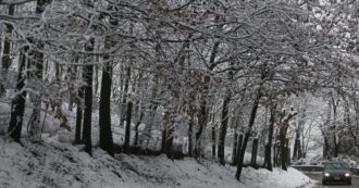 Copertina di L’autunno è caldo, ma non troppo: neve sui boschi in “foliage”