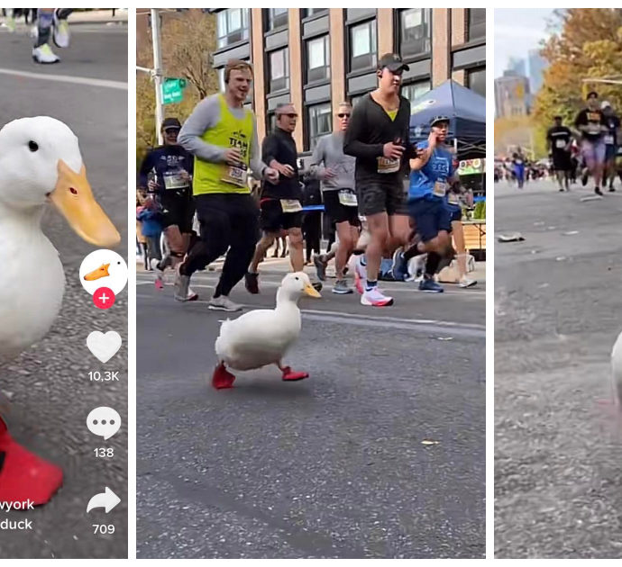 Maratona di New York, ‘Wrinkle the Duck’ è la protagonista indiscussa. Il video diventa virale su TikTok