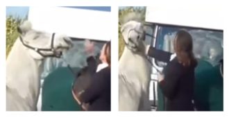 Copertina di Picchia il suo cavallo con calci e pugni e il video fa il giro della rete: maestra sospesa da scuola e “minacciata di morte”