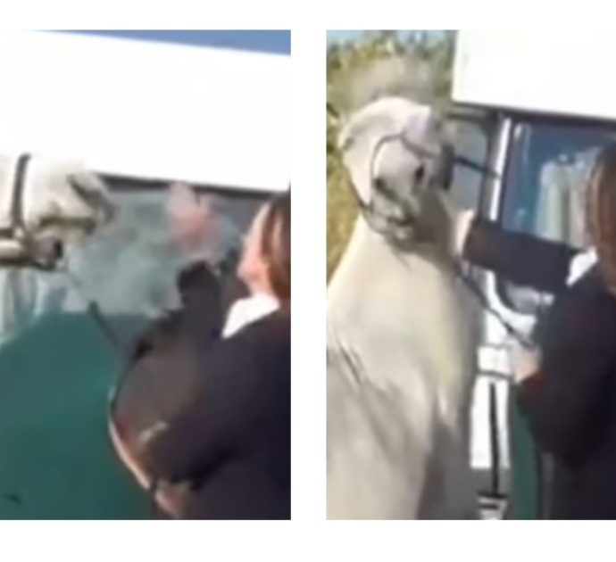 Picchia il suo cavallo con calci e pugni e il video fa il giro della rete: maestra sospesa da scuola e “minacciata di morte”