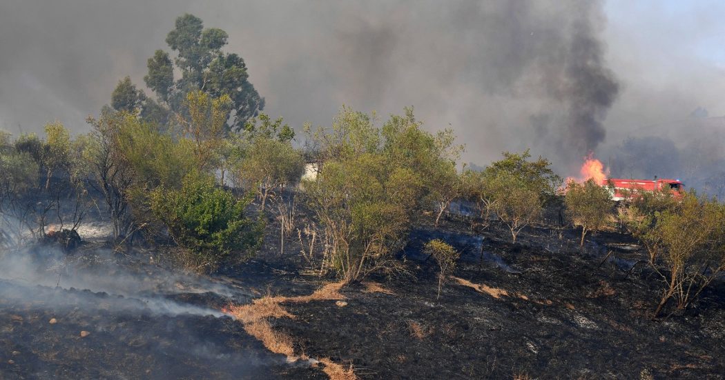 Ecomafie, calano i controlli (causa Covid) ma aumentano i reati contro l’ambiente: sono 95 al giorno in Italia. Il report Legambiente