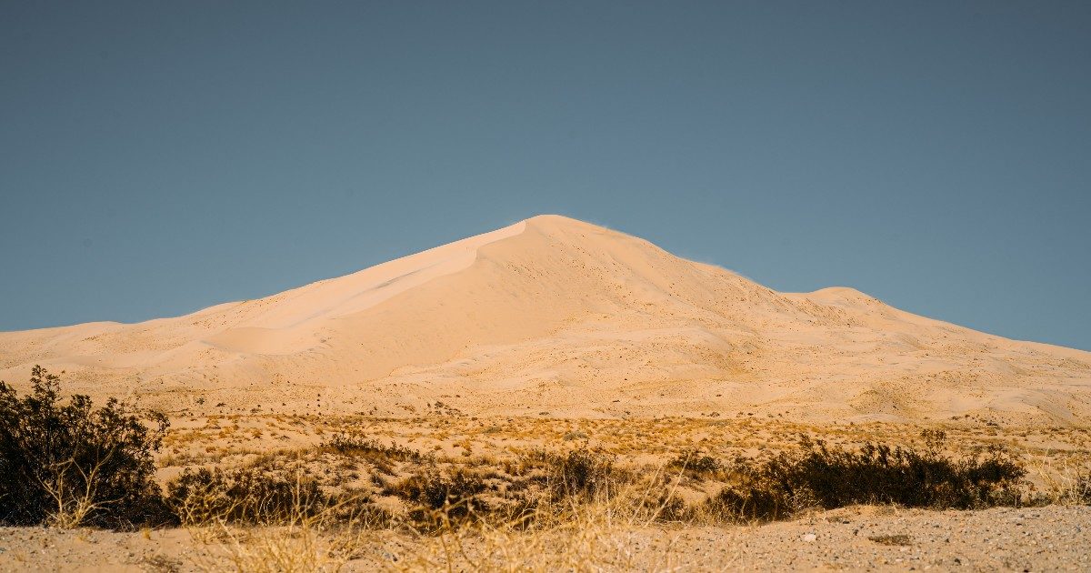Canarie, l’appello degli scienziati: “Basta sesso tra le dune. Cespugli e insetti a rischio estinzione”. Lo studio “Sabbia, sole, mare e sesso con stranieri”