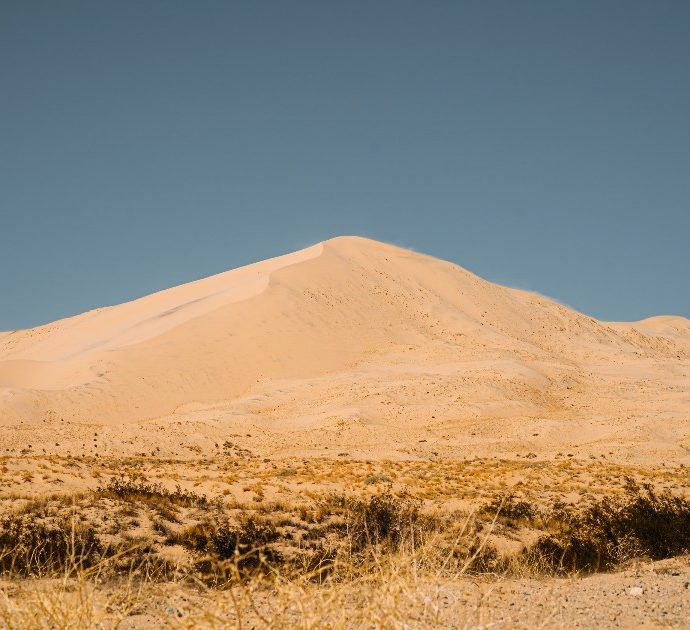 Canarie, l’appello degli scienziati: “Basta sesso tra le dune. Cespugli e insetti a rischio estinzione”. Lo studio “Sabbia, sole, mare e sesso con stranieri”