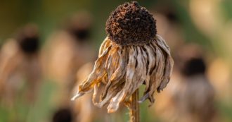 Copertina di Il surriscaldamento mette a rischio un miliardo di persone