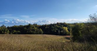 Copertina di Il Piemonte vuole un’altra pista da motocross (ne ha già 29). Che senso ha disboscare altri ettari?
