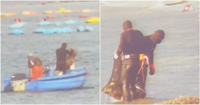 L’ultimo colpo basso per il mare di Taranto: arrestati 17 ‘predatori’ di cetrioli di mare. Il gip: “Alterazione irreversibile dell’ecosistema”