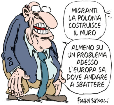 Copertina di La vignetta di Franzaroli