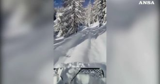 Copertina di Neve sulle dolomiti, la panoramica salita con il gatto delle nevi al rifugio Belvedere – Video