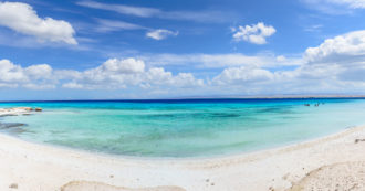 Copertina di Egitto, il mondo sommerso di Marsa Alam è vita a colori