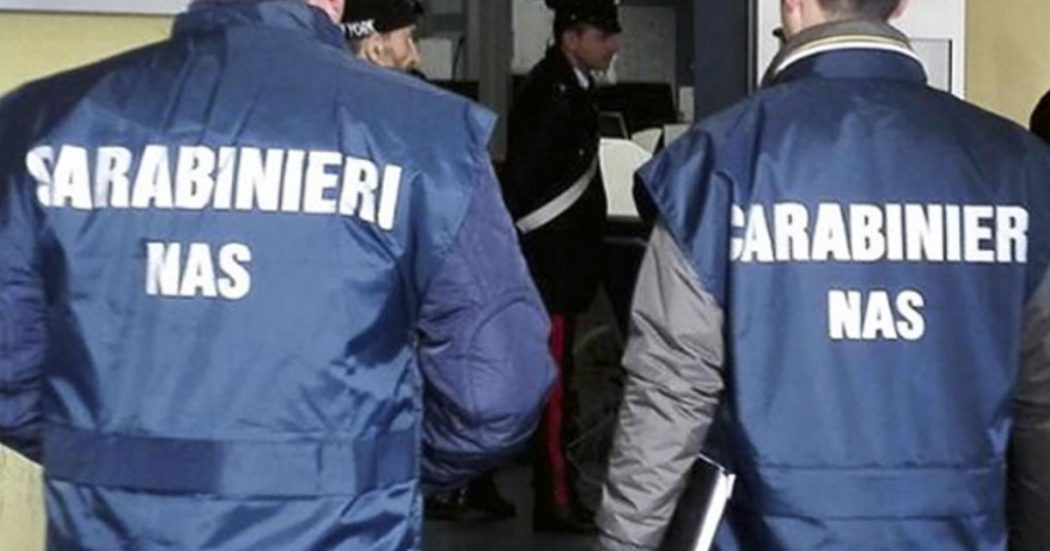 https://st.ilfattoquotidiano.it/wp-content/uploads/2021/12/02/nas-carabinieri-1200-1050x551.jpg