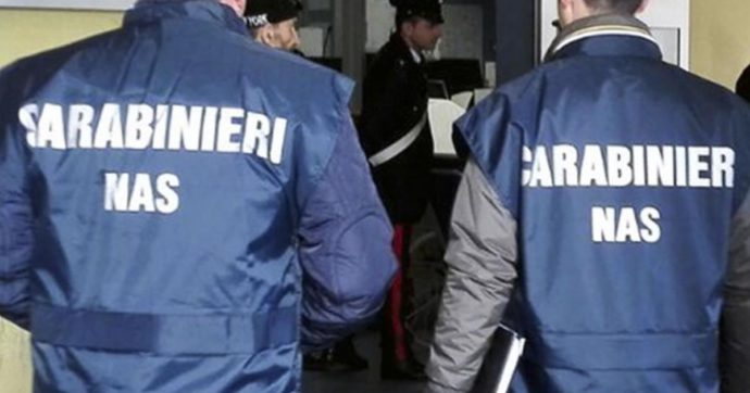 Parma, sequestrate 80 tonnellate di prosciutti crudi dopo un controllo dei Nas in uno stabilimento: erano invasi da larve e parassiti
