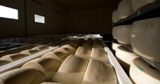 Copertina di Parmigiano Reggiano, il dg del Consorzio (che spende 21 milioni in pubblicità): “Il mestiere richiede fatica, nostro spot non capito”