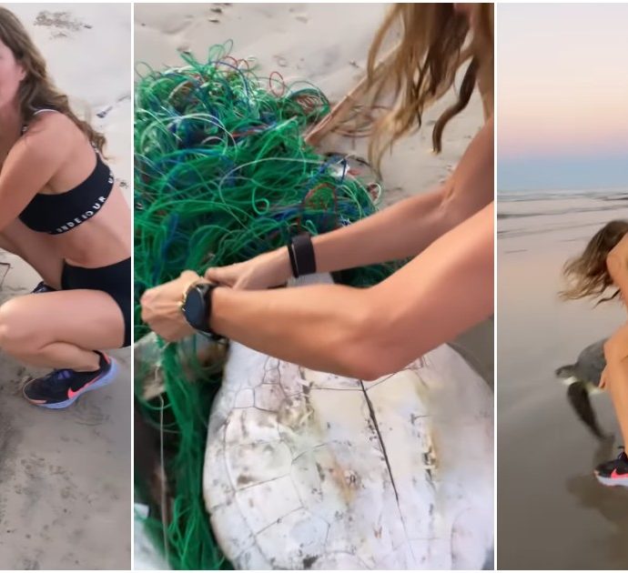 Gisele Bündchen salva una tartaruga marina intrappolata in una rete da pesca e la riporta (nonostante il peso) in mare – Video