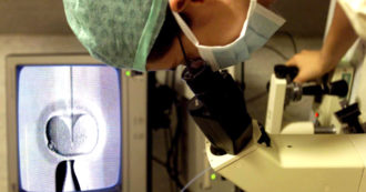 Copertina di Fecondazione in vitro, storia di una ricerca durata 30 anni