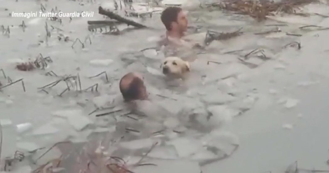 Cane cade in un lago ghiacciato: così due agenti si tuffano per salvarlo – Video