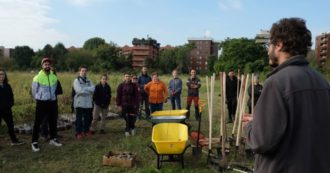 Copertina di Milano, così i campi abbandonati del parco Vettabbia sono stati recuperati con l’aiuto dei residenti: “Ricreato l’ecosistema di un bosco”