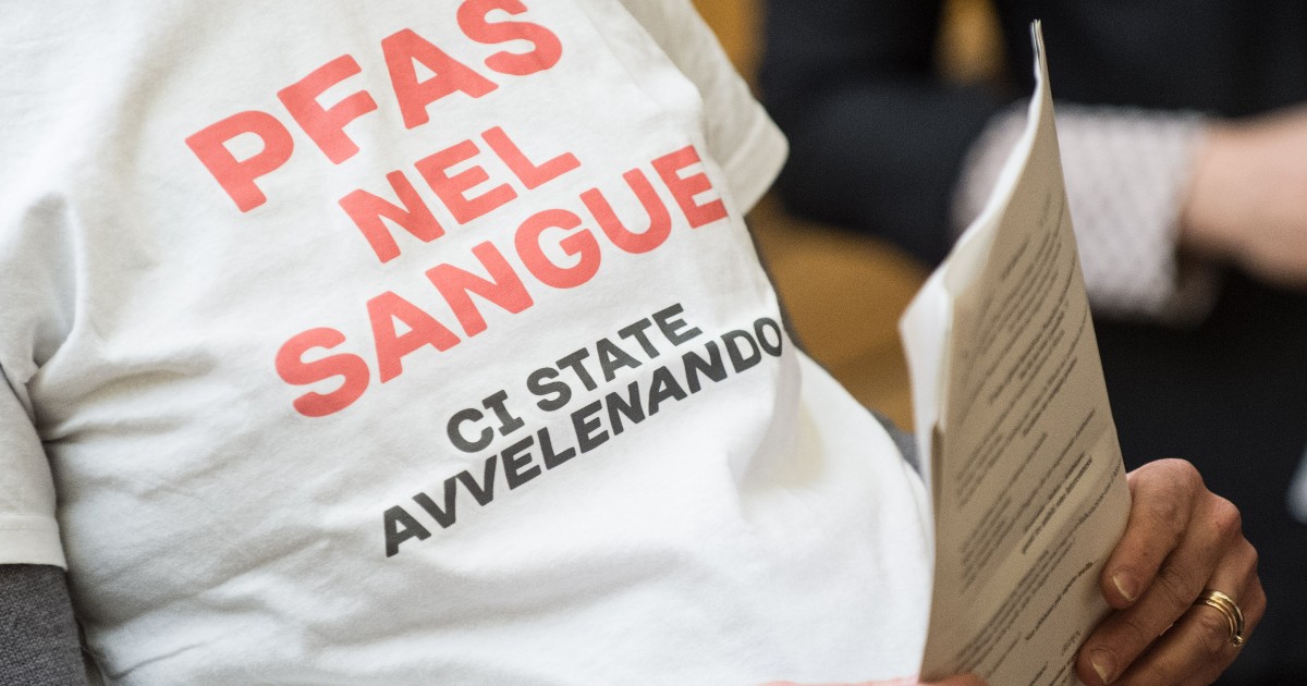 Pfas in Veneto, testimony of the lawyer who blamed the US giants: “Already in 1978 traces were discovered in the blood of employees”