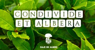 Copertina di Tutelare e proteggere l’ambiente: le iniziative realizzate dal basso grazie al crowdfunding