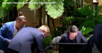 Copertina di Un grosso ragno interrompe la conferenza stampa della ministra della Salute del Queensland: lei reagisce così – Video