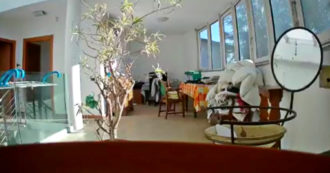Copertina di Terremoto in Lombardia, la scossa nel video di un’abitazione a cinque chilometri dall’epicentro
