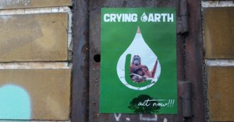 Copertina di Olio di palma, la frenesia non ha eliminato l’impatto ambientale