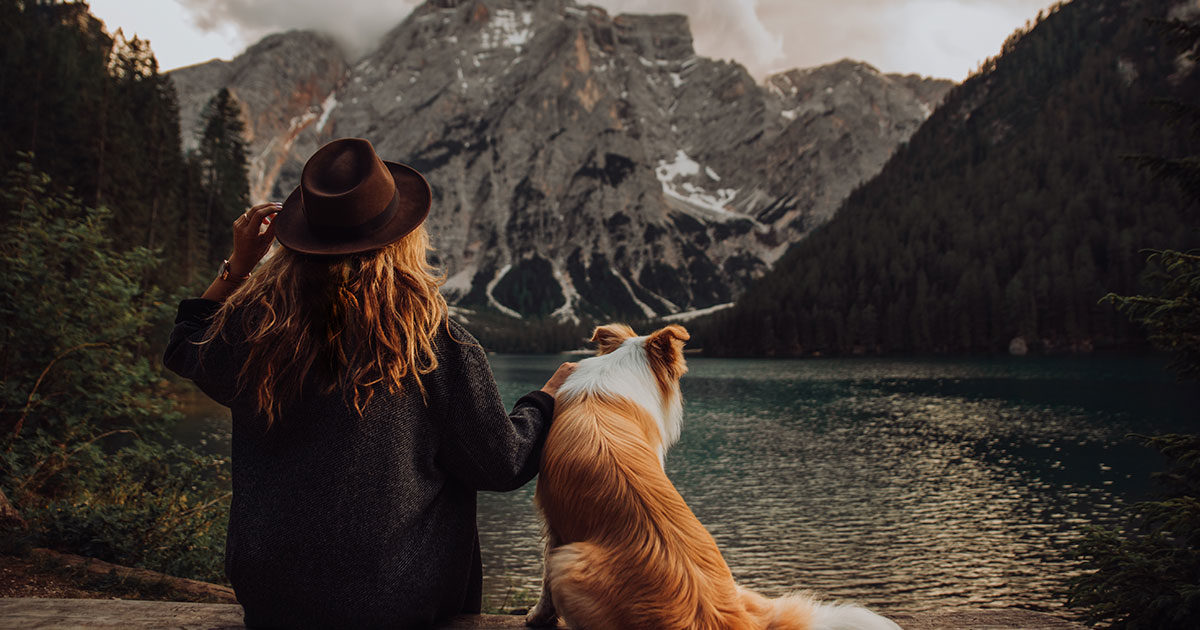 Viaggi a sei zampe, i consigli per una vacanza sicura con animali al seguito