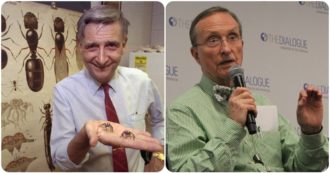 Copertina di Wilson e Lovejoy, sotto Natale se ne sono andati i due studiosi che hanno cambiato la zoologia