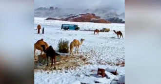 Saudi Arabia, incredible snowfall in Tabuk: images of the white blanket - Video