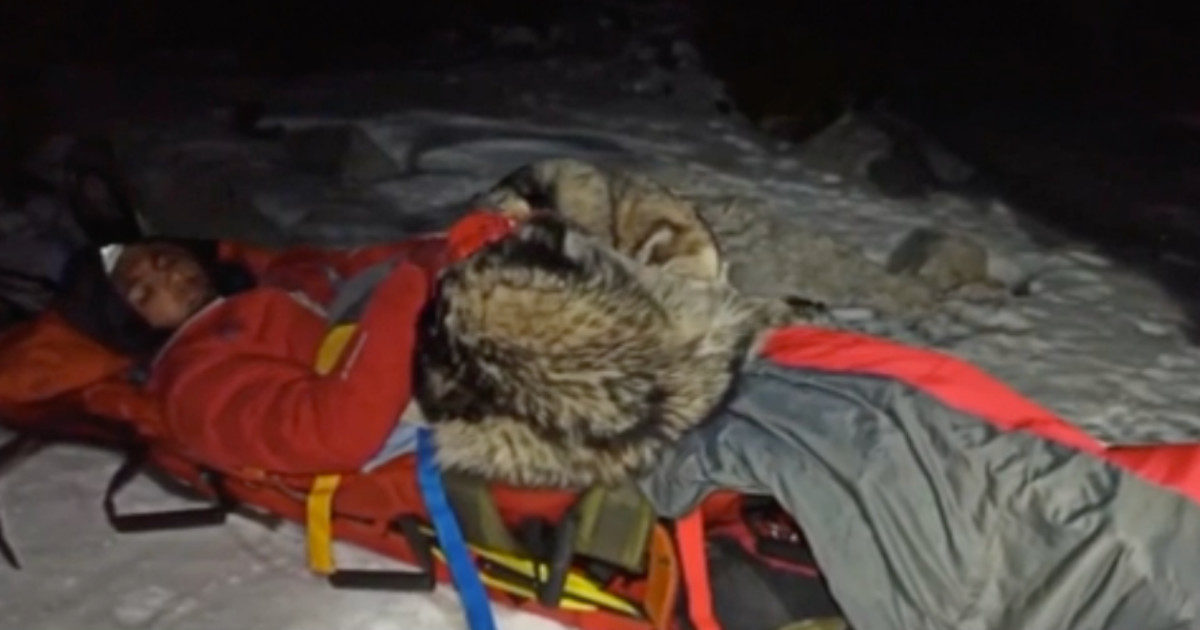 Alpinista cade in un burrone: il suo cane gli salva la vita riscaldandolo per 13 ore