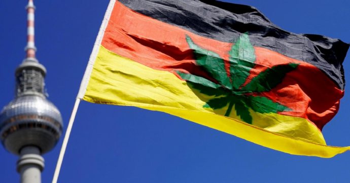 “Erba” legalizzata, il governo nicchia